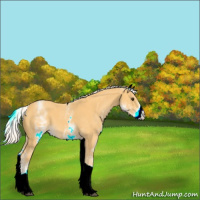 Horse Color:White Spotted Palomino Tobiano 
