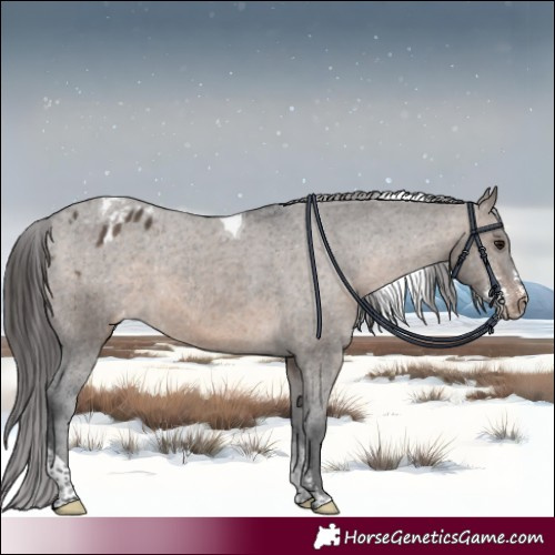 Horse Color:Brown Dun Sabino Tobiano Varnish 