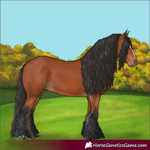 Horse Color:Bay Sabino Rabicano and Bay Sabino Rabicano