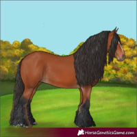 Horse Color:Bay Sabino Rabicano  and Bay Sabino Rabicano 