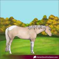 Horse Color:Chocolate Palomino Pearl Sabino Tobiano