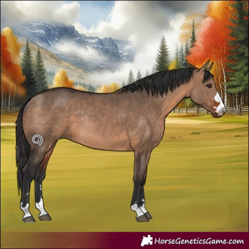 Horse Color:Bay Dun Rabicano