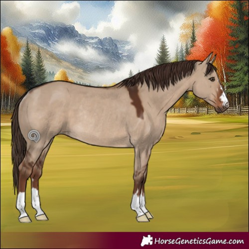 Horse Color:Liver Red Dun Rabicano 