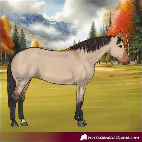Horse Color:Bay Dun Rabicano 