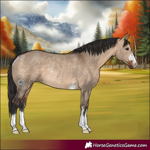 Horse Color:Bay Dun Rabicano 