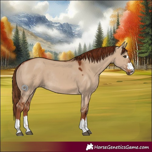 Horse Color:Red Dun Rabicano