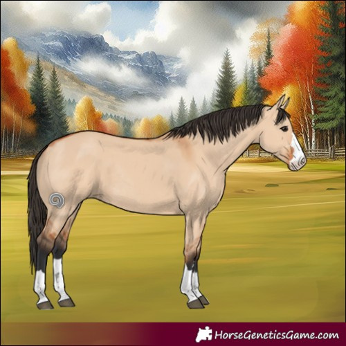 Horse Color:Bay Dun Rabicano 