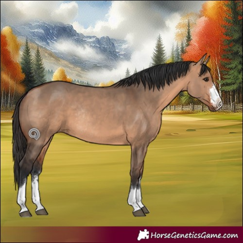 Horse Color:Bay Dun Rabicano 