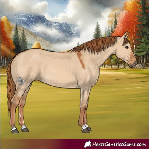 Horse Color:Red Dun Rabicano