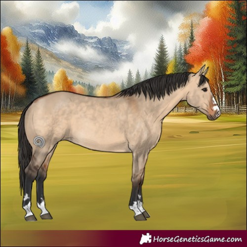 Horse Color:Bay Dun Rabicano 