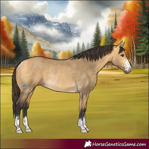 Horse Color:Buckskin Dun Rabicano