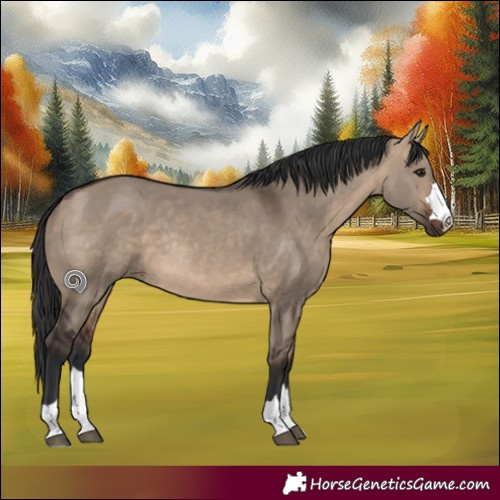 Horse Color:Brown Dun Rabicano