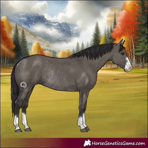 Horse Color:Smoky Grullo Rabicano 