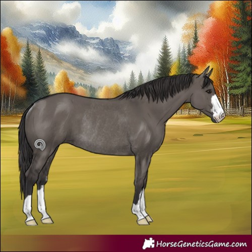 Horse Color:Smoky Grullo Rabicano 