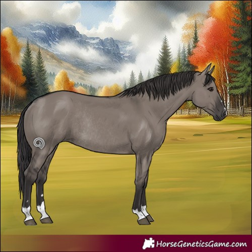 Horse Color:Smoky Grullo Rabicano 