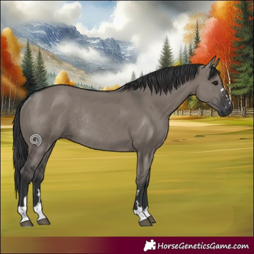 Horse Color:Grullo Rabicano 