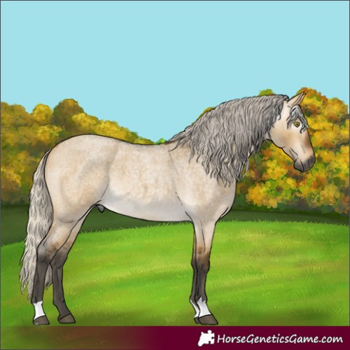 Horse Color:Gray Silver Buckskin Roan Dun 
