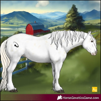 Horse Color:Palomino Sabino 