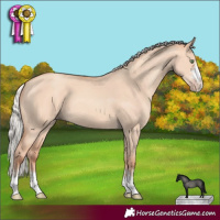 Horse Color:Silver Sable Champagne Dun 