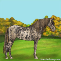 Horse Color:Smoky Black Pearl and Smoky Black Pearl
