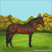 Horse Color:Brown 