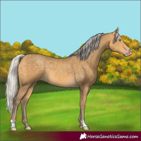 Horse Color:Silver Amber Cream Champagne 