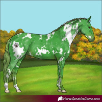 Horse Color:Watercolor White Spotted Liver Chestnut 