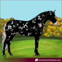 Horse Color:Watercolor Chestnut Ice Sabino 