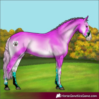 Horse Color:Watercolor Liver Red Onyx Sabino 