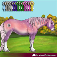 Horse Color:Watercolor Chocolate Silver Blue Onyx 