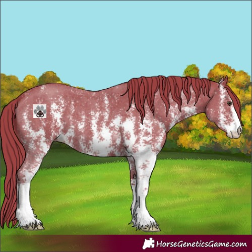 Horse Color:Watercolor Liver Chestnut Sabino 