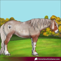 Horse Color:Chocolate Silver Blue Onyx