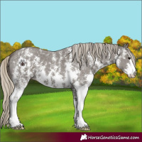 Horse Color:Silver Smoky Black Sabino 