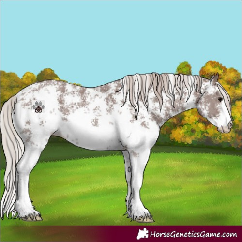Horse Color:Chocolate Silver Black Sabino 