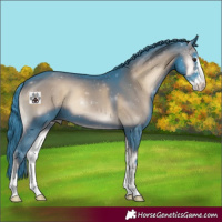 Horse Color:Watercolor Liver Red Onyx Sabino 