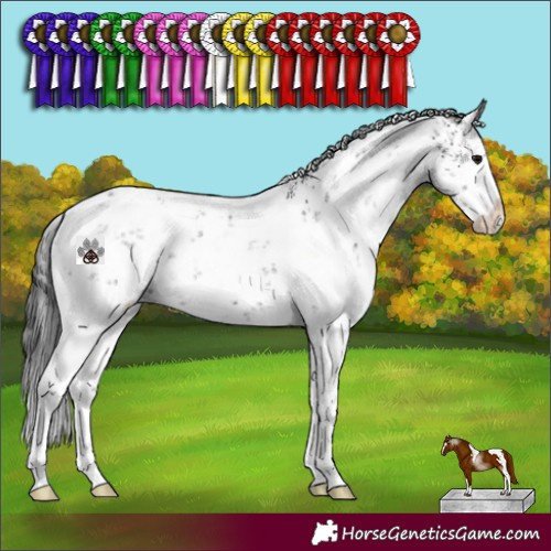 Horse Color:White Spotted Black Sabino 