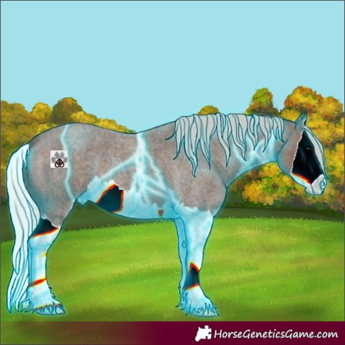 Horse Color:Thunderstruck Silver Blue Roan Splash 