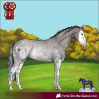 Horse Color:Smoky Grullo Splash