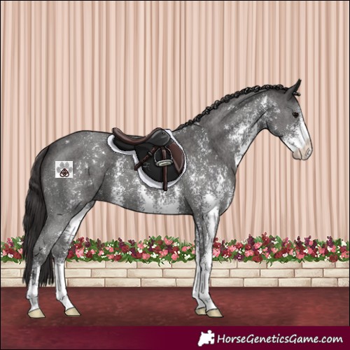 Horse Color:Smoky Black Sabino 