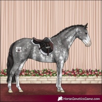 Horse Color:Smoky Black Sabino 