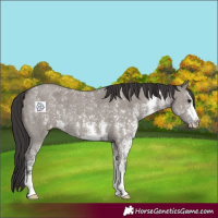 Horse Color:Smoky Grullo Sabino 