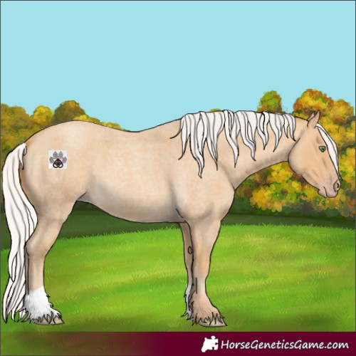 Horse Color:Silver Sable Cream Champagne Roan 