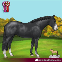 Horse Color:Black Sabino 