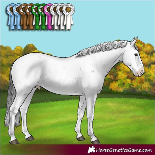 Horse Color:Black Sabino Rabicano 