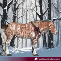 Horse Color:Bay Sabino Rabicano and Silver Bay Sabino Rabicano