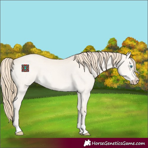 Horse Color:Perlino Dun 