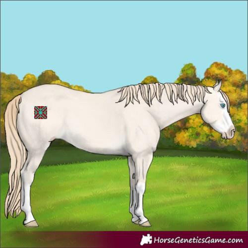 Horse Color:Perlino Dun Splash 