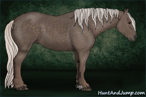 Horse Color:Silver Black 