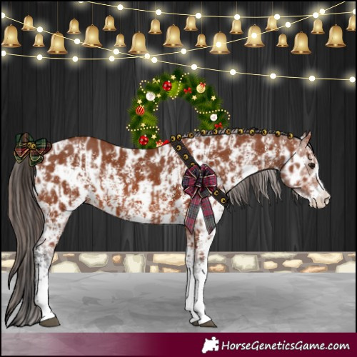 Horse Color:Bay Sabino Rabicano  and Bay Sabino Near Leopard Rabicano 