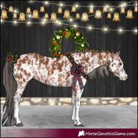 Horse Color:Bay Sabino Rabicano  and Bay Sabino Near Leopard Rabicano 